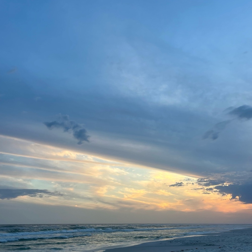 Meet your Posher, Lucy